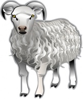 Sheep Md V clip art Thumbnail