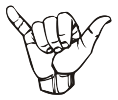 Sign language Y, hang loose Thumbnail