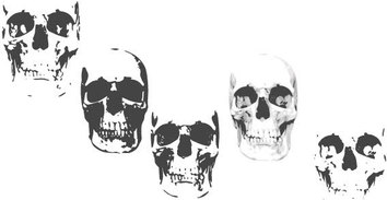 Skull free vector