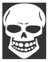 Skull human X-ray Thumbnail