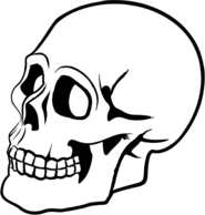 Skull Vector Thumbnail