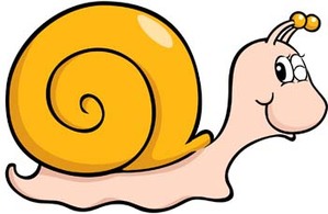 Snail 9