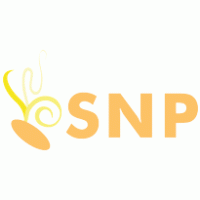 SNP-Soluciones Nuevas Posibilidades- Thumbnail