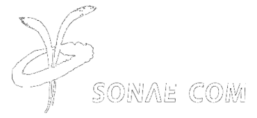 Sonae Com Thumbnail