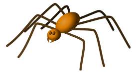 Spider