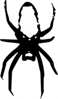 Spider clip art