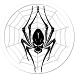 Spider Web Vector