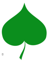 Spring symbol - Linden leaf