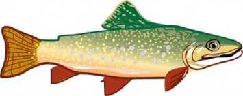 State Michigan Symbols Fish Animal Trout Thumbnail