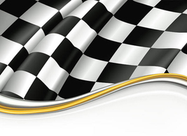 Stock Racing Flag Vector