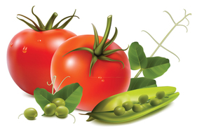 Stock tomatoes nuts garlic vegetables .vector Thumbnail