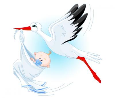 Stork Carrying a Baby Vector Thumbnail