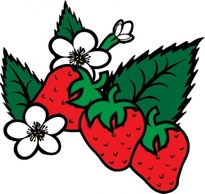 Strawberries clip art Thumbnail