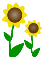 Sunflowers Thumbnail