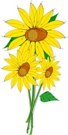 Sunflowers clip art Thumbnail