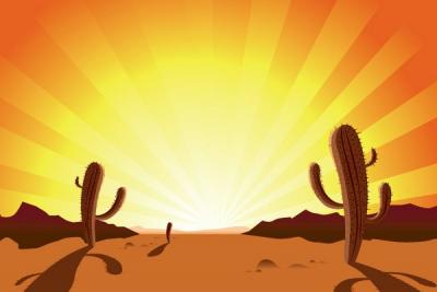 Sunrise Desert Cactus Vector Illustration Thumbnail