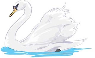 Swan 4 Thumbnail
