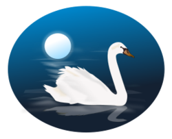 Swan