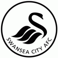 Swansea City 07/08
