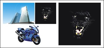 Tall buildings, Panthers and motorcycles vector material Thumbnail