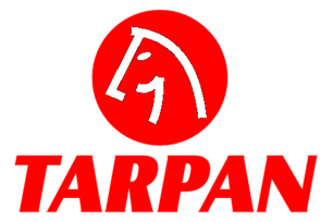 Tarpan