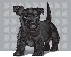 Terrier 2