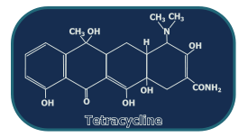 Tetracycline Structure Thumbnail