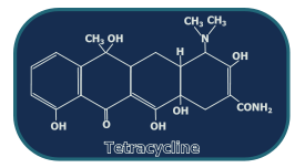 Tetracycline Structure