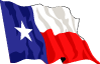 Texas Vector Flag Thumbnail