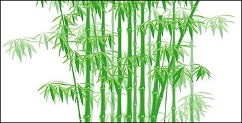 The green bamboo vector material Thumbnail