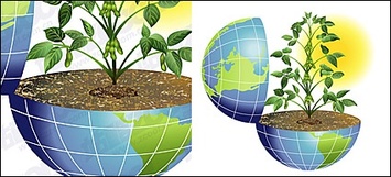 The vitality of the Earth vector material