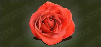 The water with red roses Thumbnail