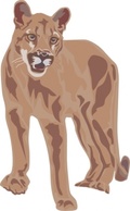 Tiger clip art