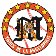 Tigres de la Angelopolis