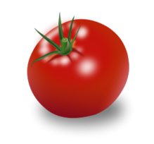 Tomate Thumbnail