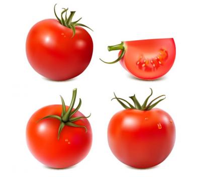 Tomato Vector Thumbnail