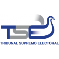 Tribunal Supremo Electoral Thumbnail