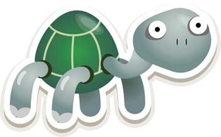 Turtle 8