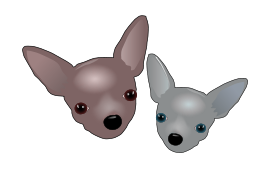Two Chihuahuas Thumbnail