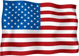 United State of America Flag Vector