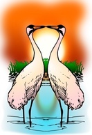 Valessiobrito Two Love Whooping Crane clip art Thumbnail