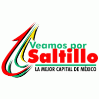 Veamos Por Saltillo