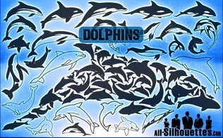 Vector Dolphins Thumbnail