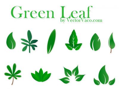 Vector Green Leaf Thumbnail