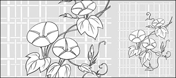 Vector line drawing of flowers-26(Morning glory, lattice background) Thumbnail