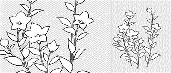 Vector line drawing of flowers-28(Campanulaceae)