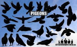 Vector pigeons Thumbnail