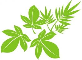 Vector Tree Leaf 02