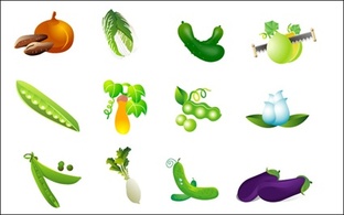 Vegetable Vector - cabbage, sweet potato, eggplant and beans radish Thumbnail