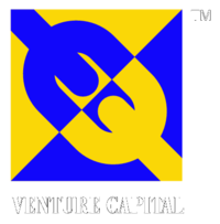 Venture Capital Thumbnail